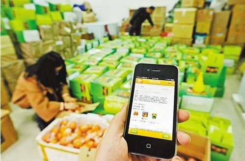 上海注册农产品销售经营范围参考